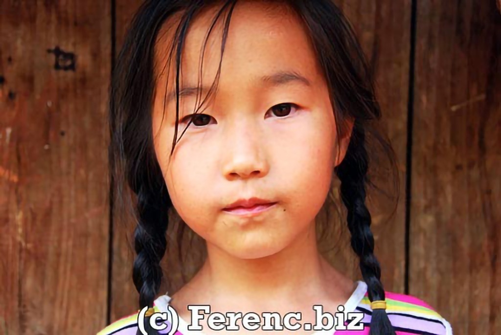Close up portrait of Vietnamese Flower Hmong girl with cute pigtails