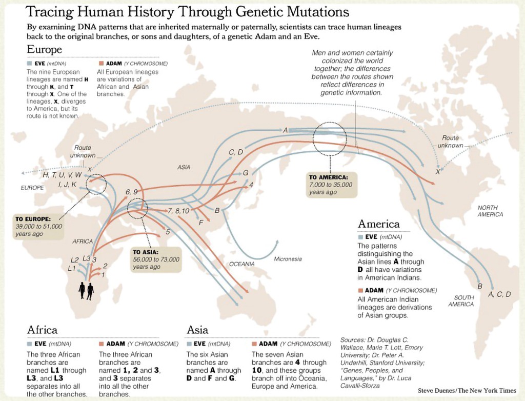 Tracing Human History Through Genetic Mutations