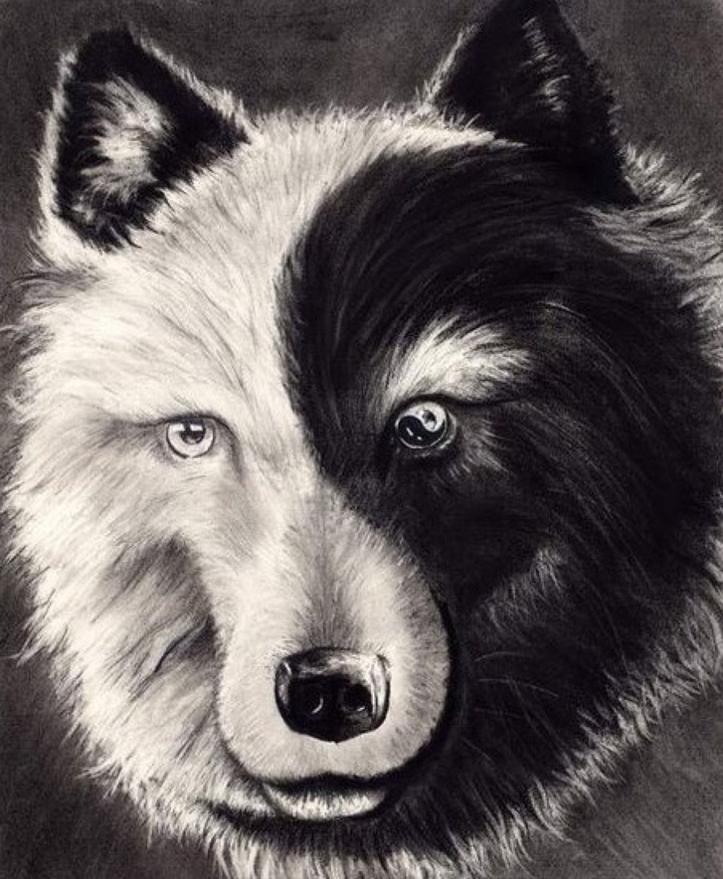 Which wolf will you feed?